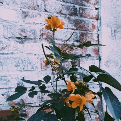 爱游戏APP·官方登录入口(ayx)手机app下载